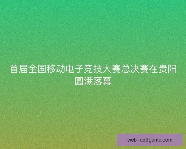 首届全国移动电子竞技大赛总决赛在贵阳圆满落幕