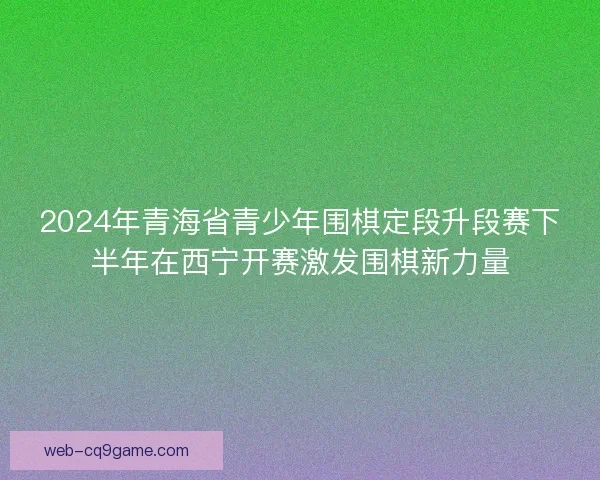 2024年青海省青少年围棋定段升段赛下半年在西宁开赛激发围棋新力量